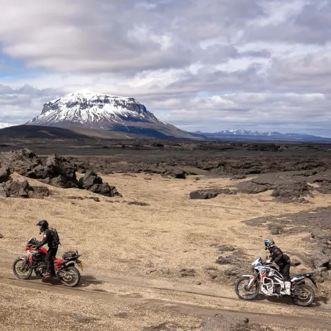 Immagine dinamica di Africa Twin con piloti